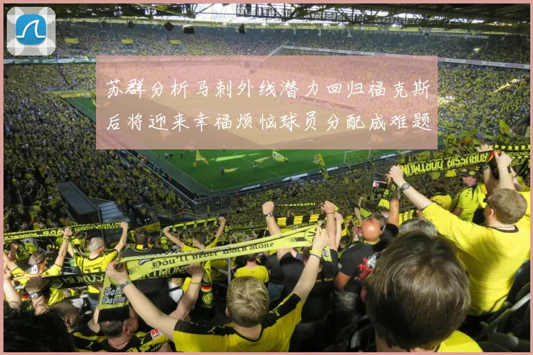 苏群分析马刺外线潜力回归福克斯后将迎来幸福烦恼球员分配成难题