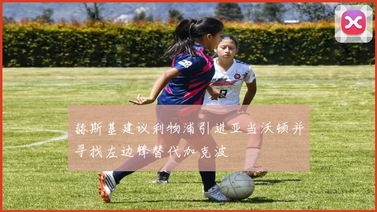 赫斯基建议利物浦引进亚当沃顿并寻找左边锋替代加克波