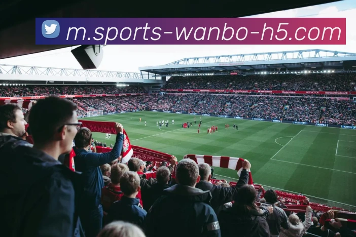 万博体育APP 封面图